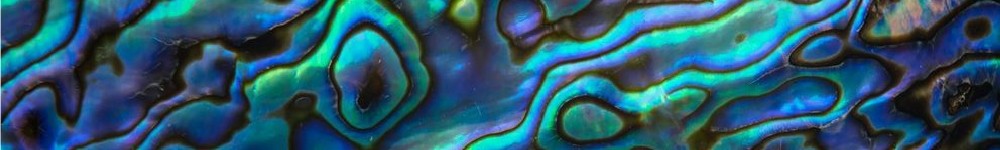 cropped-abalone-inlay-1000x150.jpg
